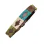Pampeano Dog Collar Terraqueo